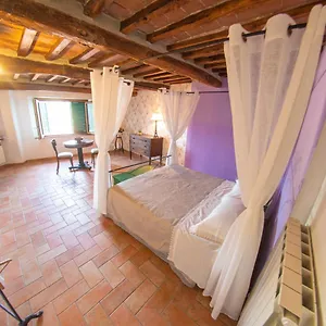 https://coccinella-house.it-tuscanyhotel.com